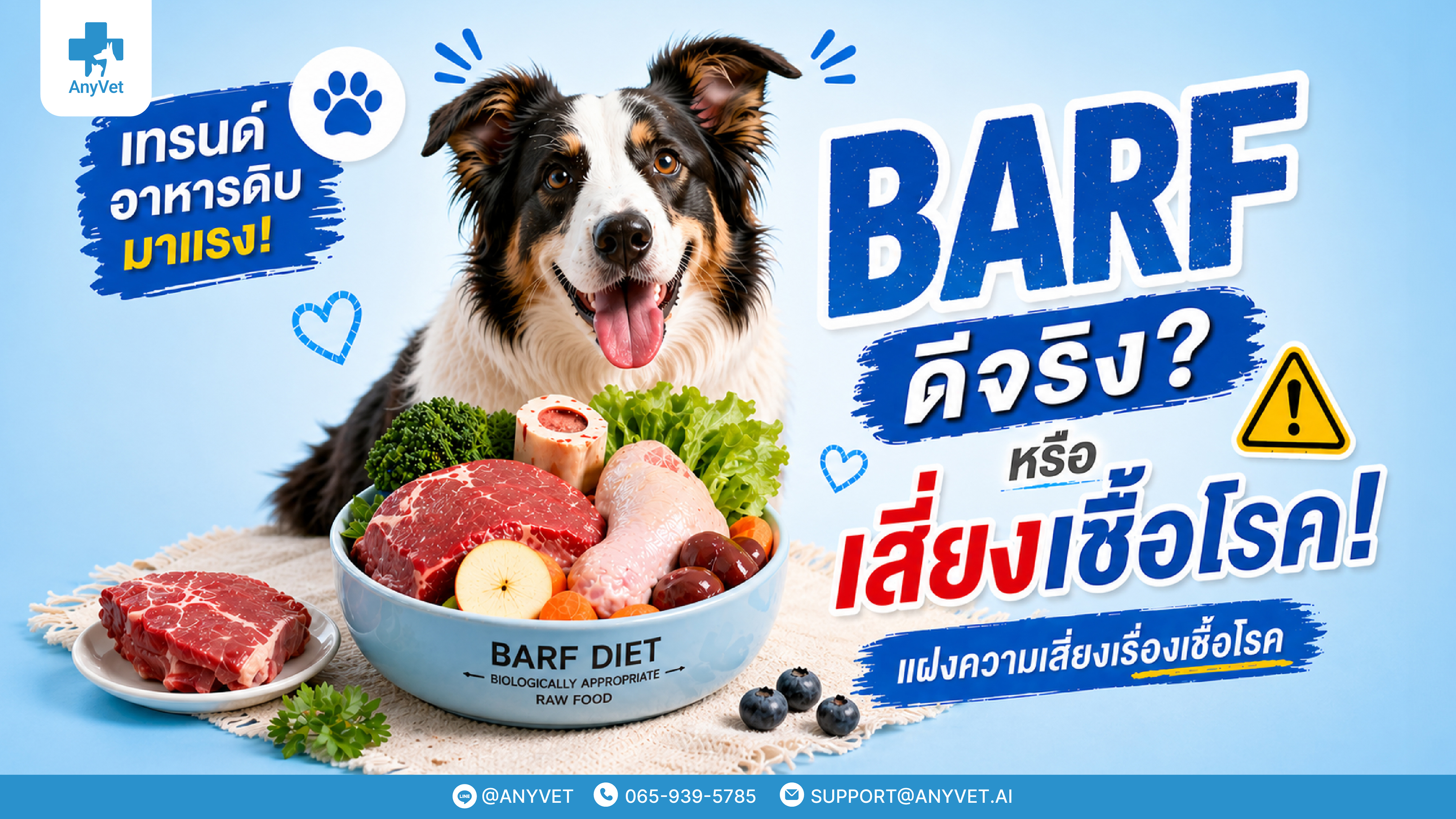 BARF Diet for Dogs & Microchip: The Ultimate Guide to Canine Health and Safety